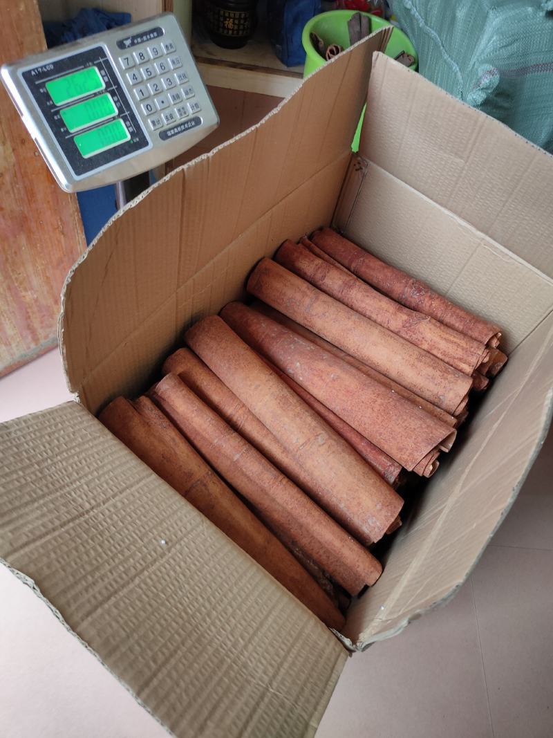 广西平南桂皮刮皮桂通自采生晒精选农家货一件代发