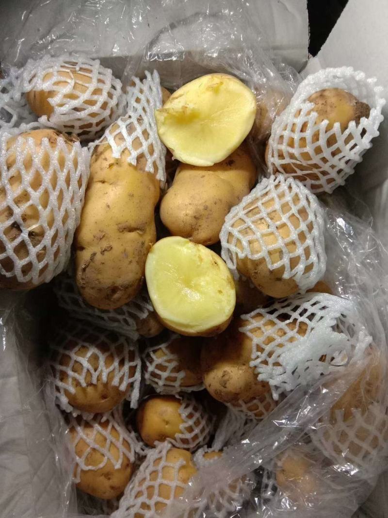 精品荷兰十五土豆河南开封土豆规格齐全承接商超代收代发