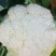 云南高原绿杆小米散花松花颜色白，个头均匀，口感好，卖样好