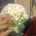 云南高原绿杆小米散花松花颜色白，个头均匀，口感好，卖样好