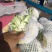 云南高原绿杆小米散花松花颜色白，个头均匀，口感好，卖样好