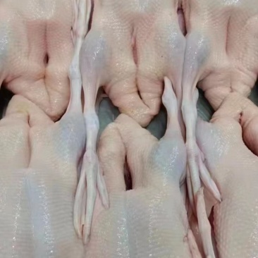 白条鸭