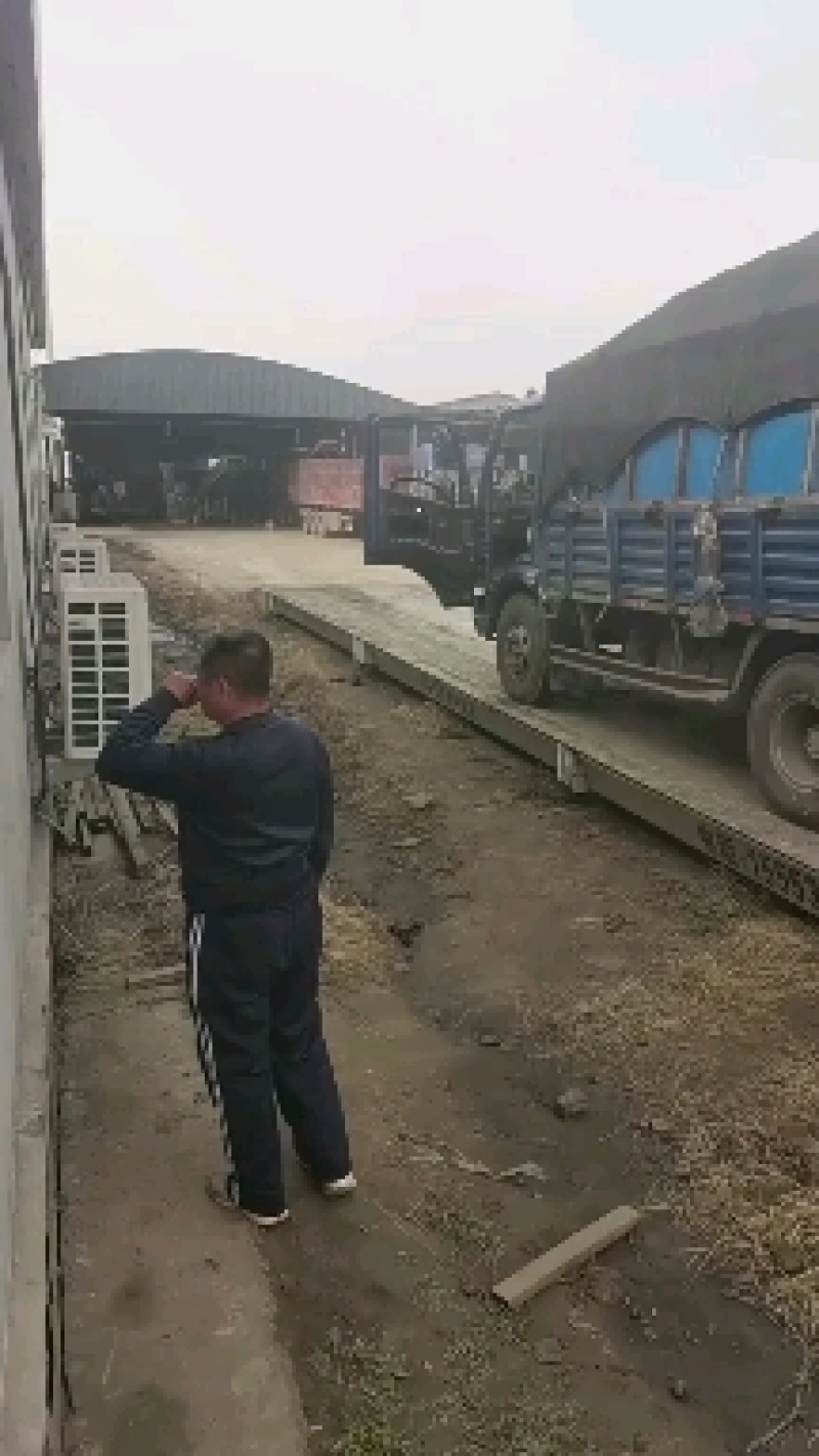 纯羊粪腐熟羊粪有机肥经过高温发酵腐熟不伤根