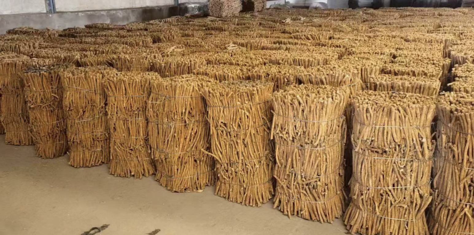 杭白芷在中药材市场销售场景