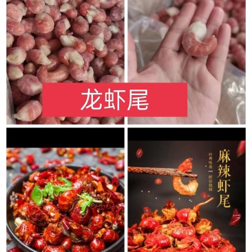 冻品龙虾尾