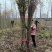 乌桕树苗