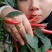 新苗小米辣种植基地，日产量百吨，价格便宜，质量保证