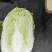 大量白菜上市