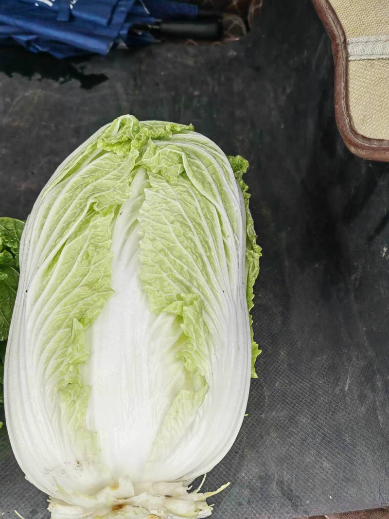 大量白菜上市