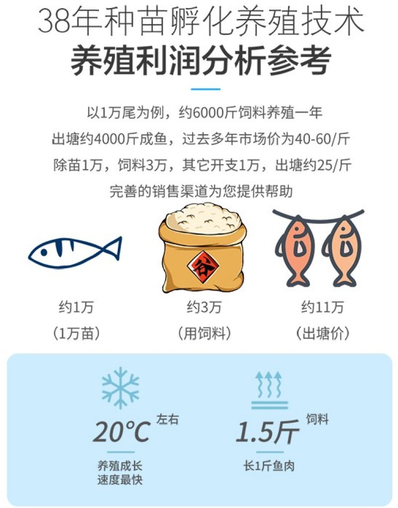 四川眉山天贵水产青龙棒规格齐全品质很好欢迎前来考察