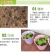 重瓣茶花凤仙花种子七彩指甲草指甲花盆栽四季开花易活花种籽