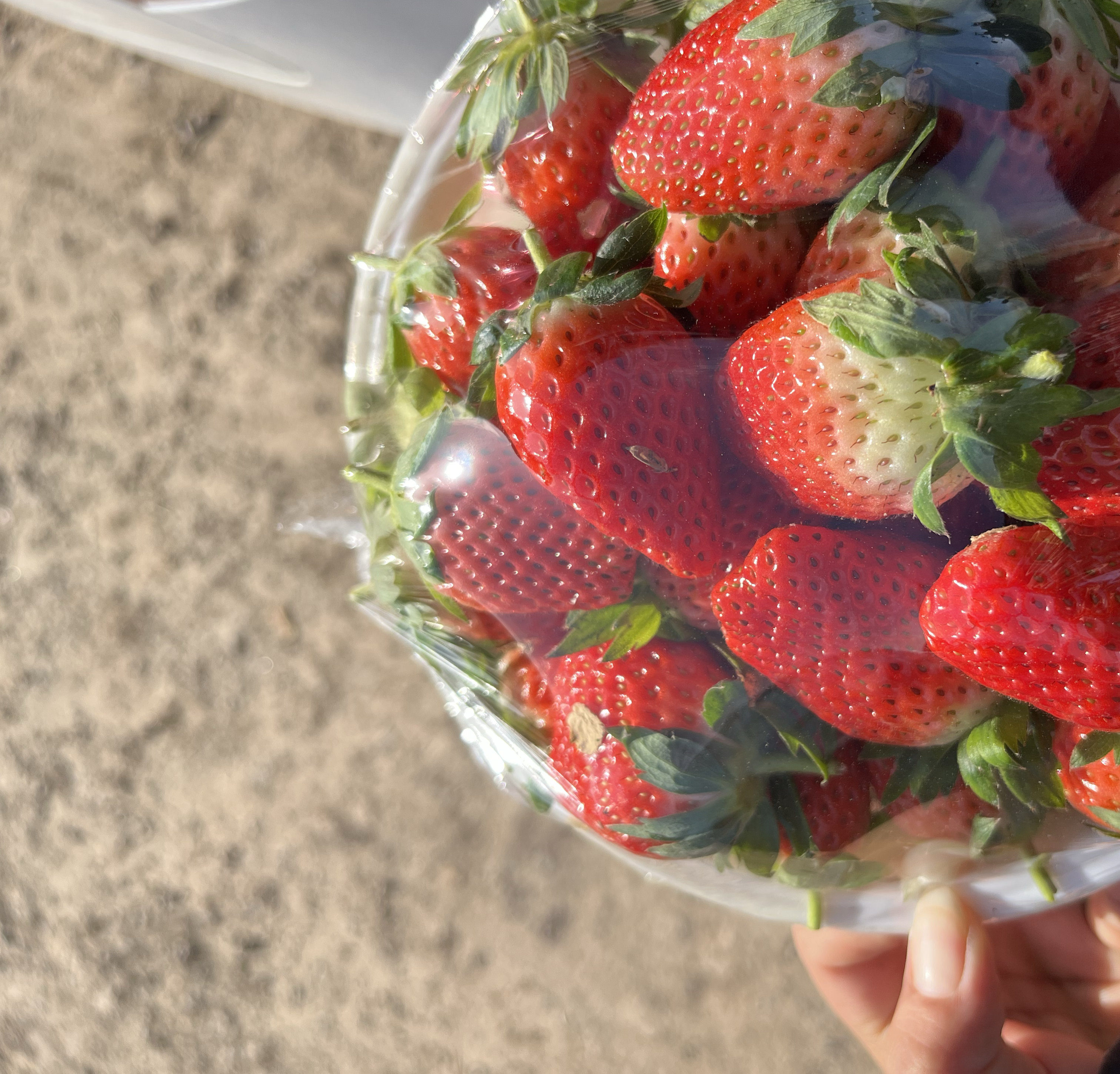 一张高清草莓实物图,旁边附带营养成分表,展示其维生素C、膳食纤维等含量 草莓的营养成分展示图