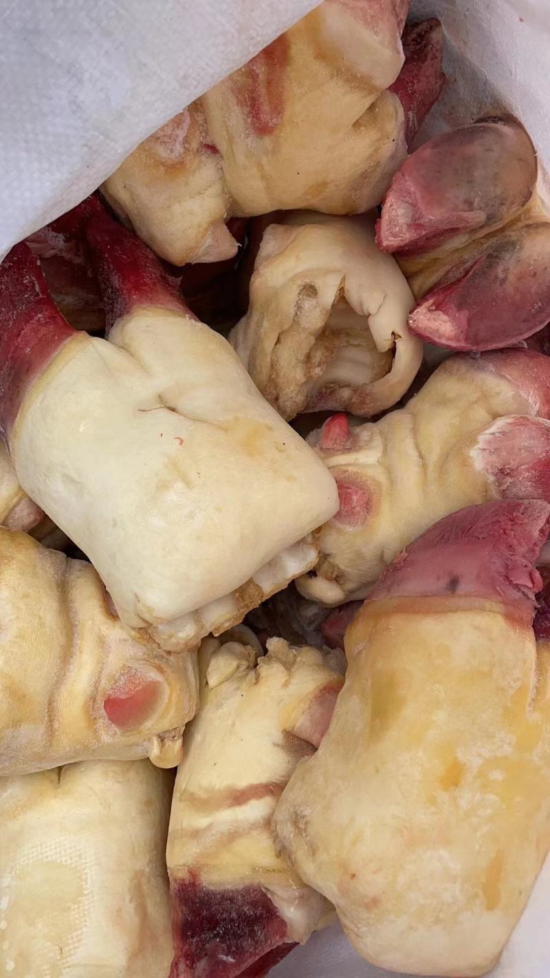清真食品批发牛掌牛蹄掌清水褪毛带牛蹄筋富含胶原蛋白质