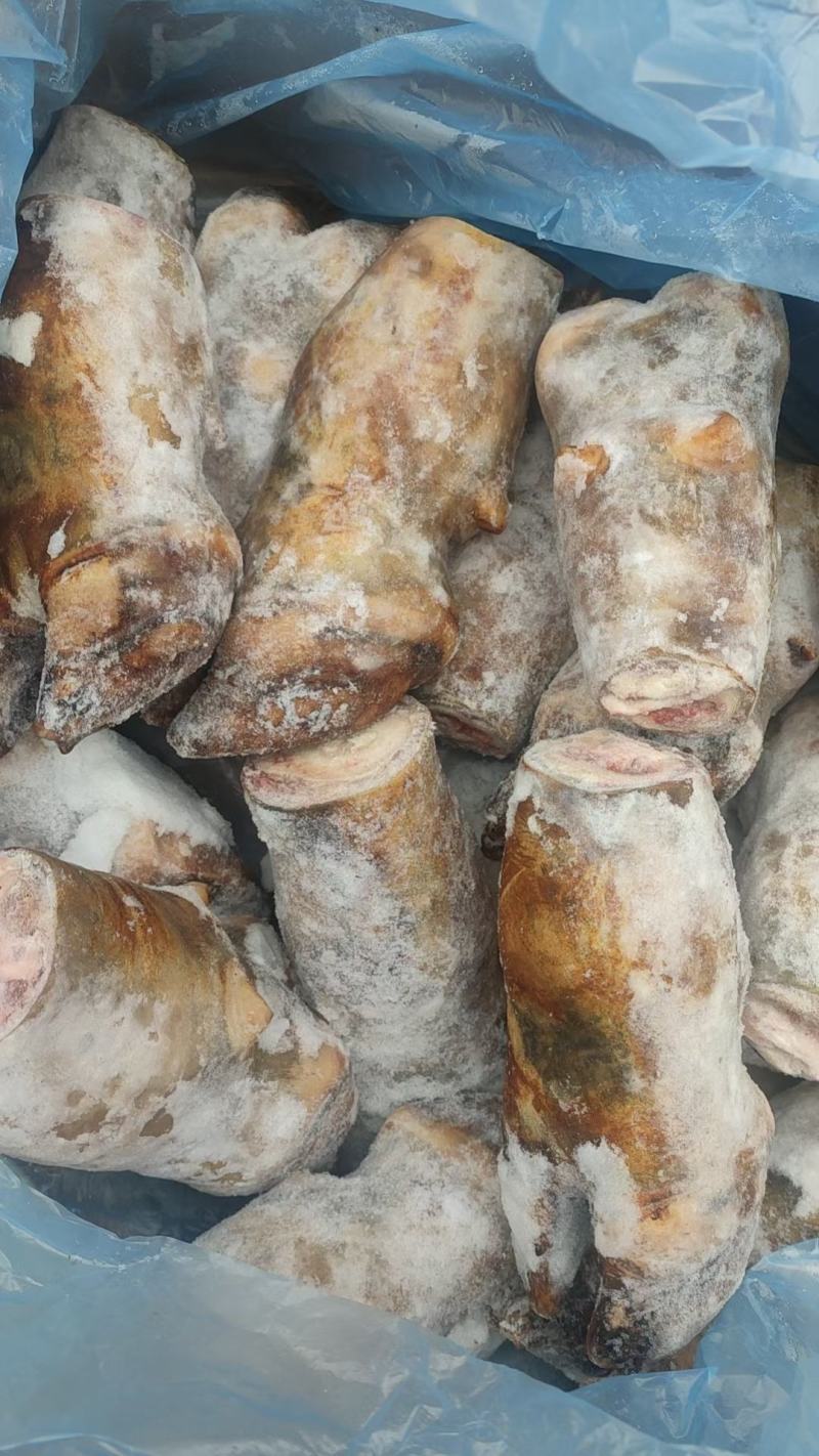 清真食品批发牛掌牛蹄掌清水褪毛带牛蹄筋富含胶原蛋白质