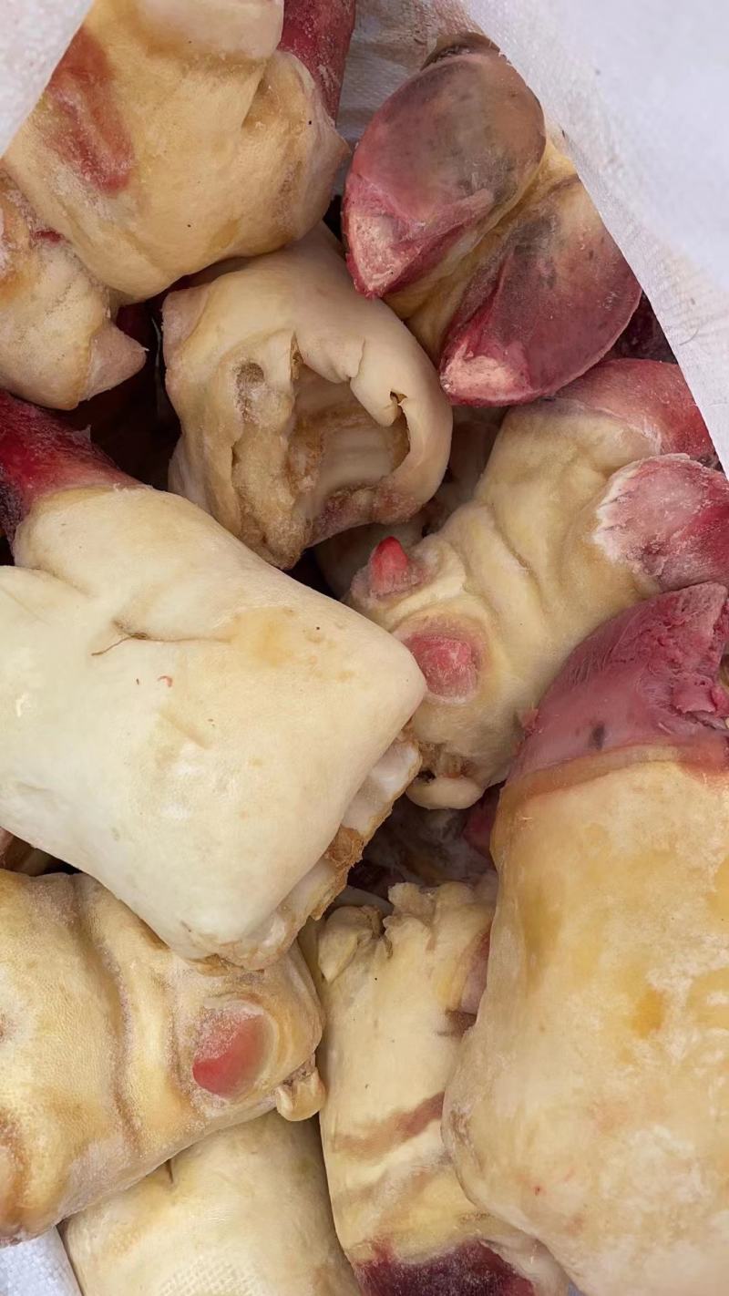 清真食品批发牛掌牛蹄掌清水褪毛带牛蹄筋富含胶原蛋白质