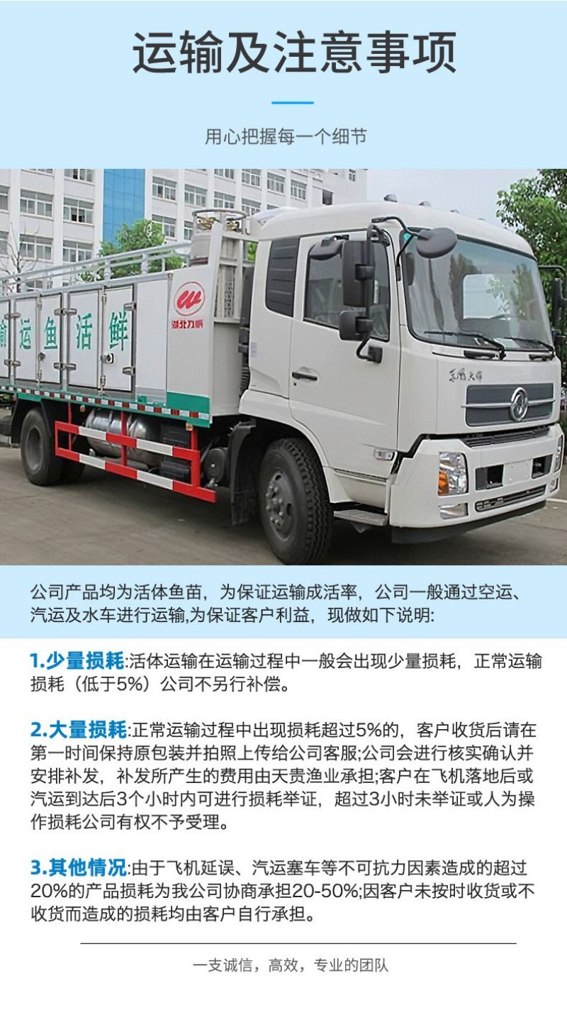 四川眉山天贵水产雅鱼苗规格齐全品质很好欢迎前来考察