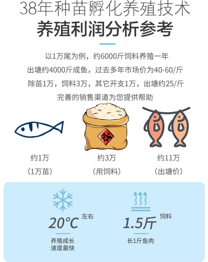四川眉山天贵水产雅鱼苗规格齐全品质很好欢迎前来考察