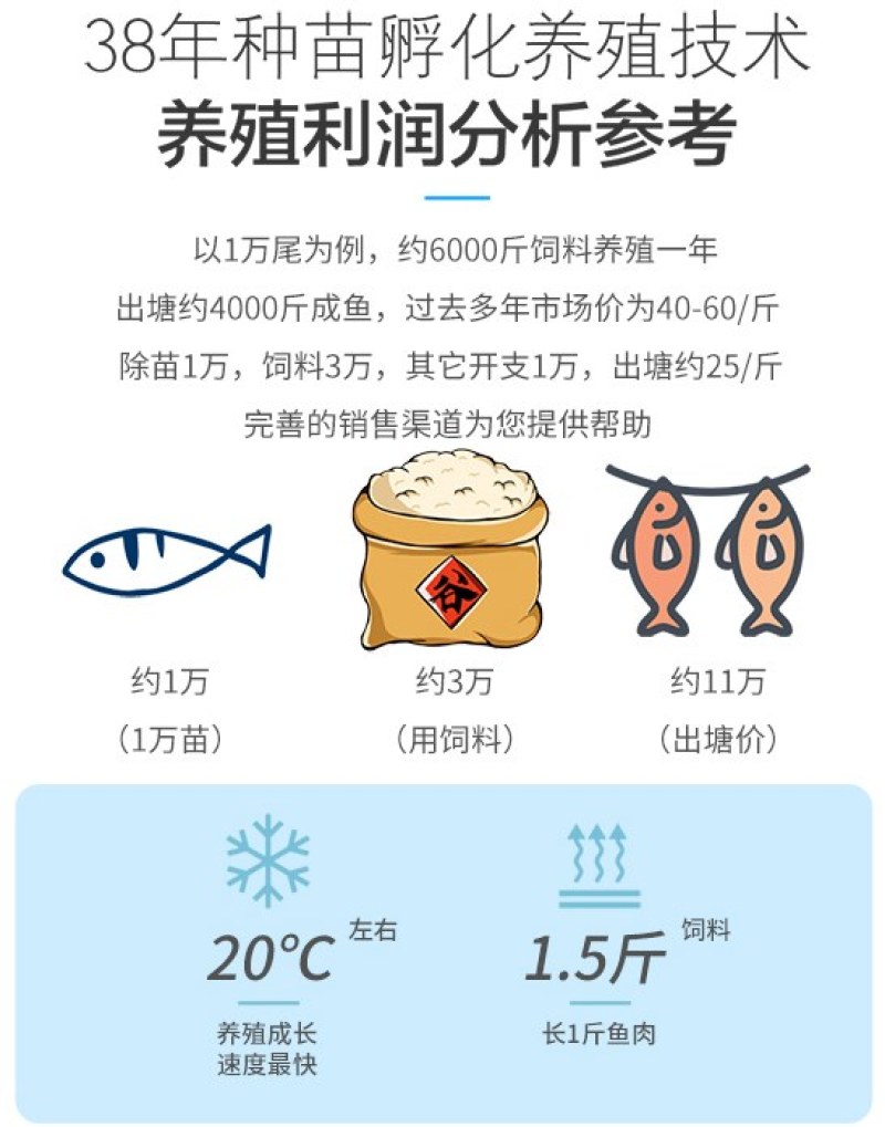 四川眉山天贵水产金沙鲈鲤苗规格齐全品质很好欢迎前来考察