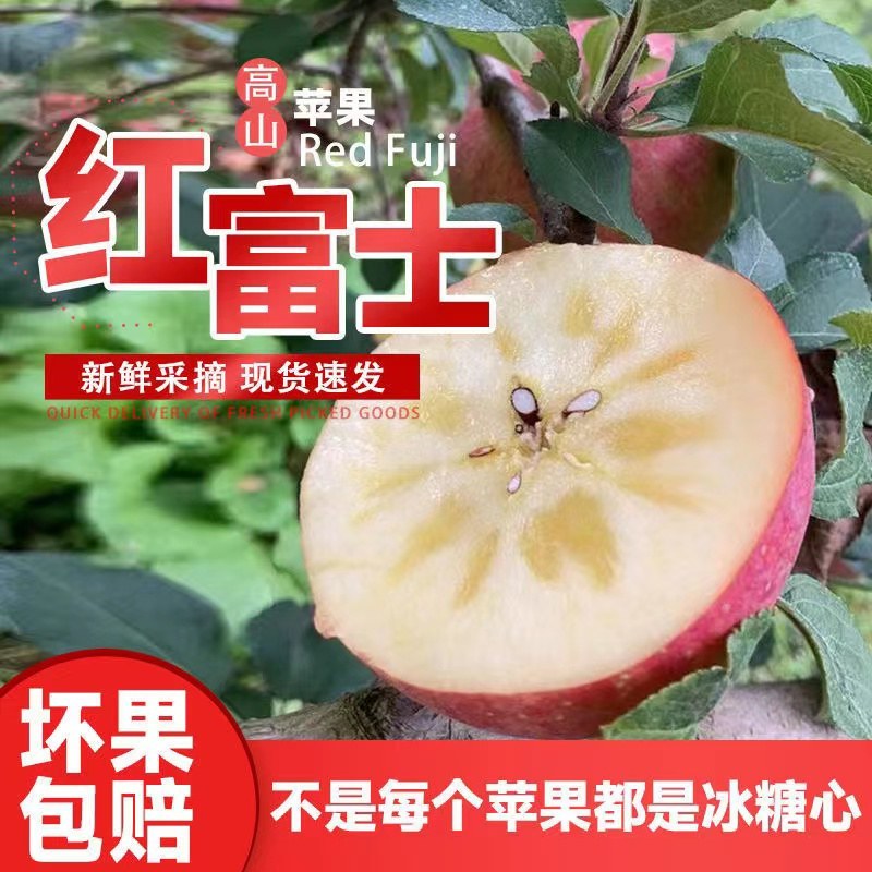 万亩精品红富士苹果，产地，货源充足，果园现采摘，口感脆甜