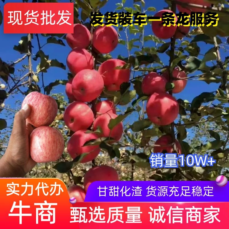 正宗红富士苹果产地冰糖心苹果拉丝条纹全红苹果甜脆