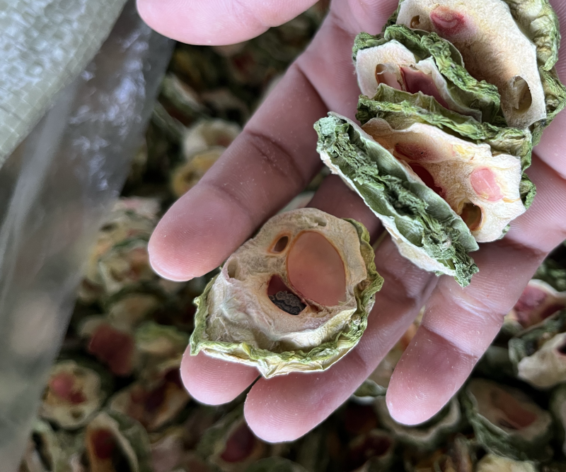 烤干红心苦瓜一手货源工厂直发