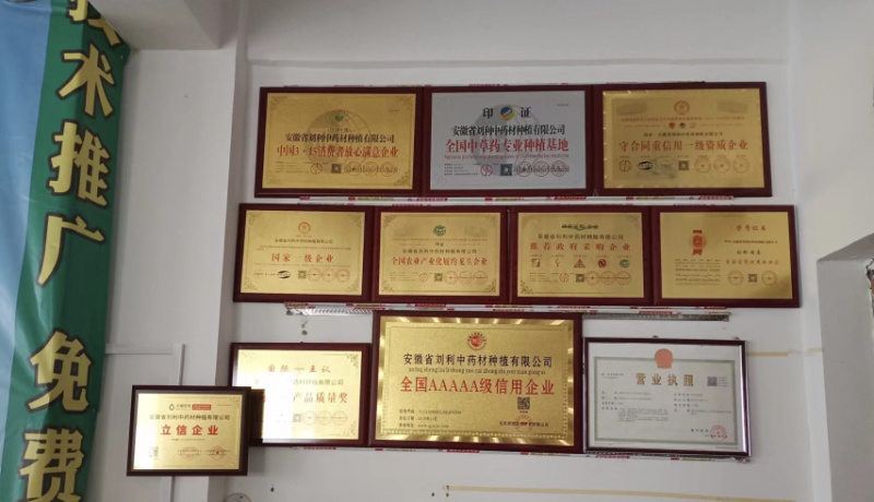【牛商店长推荐】知母种苗包技术包回收包存活