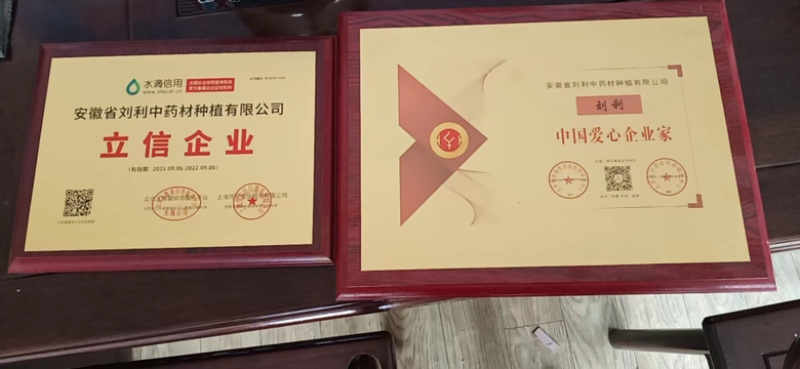 【牛商店长推荐】知母种苗包技术包回收包存活