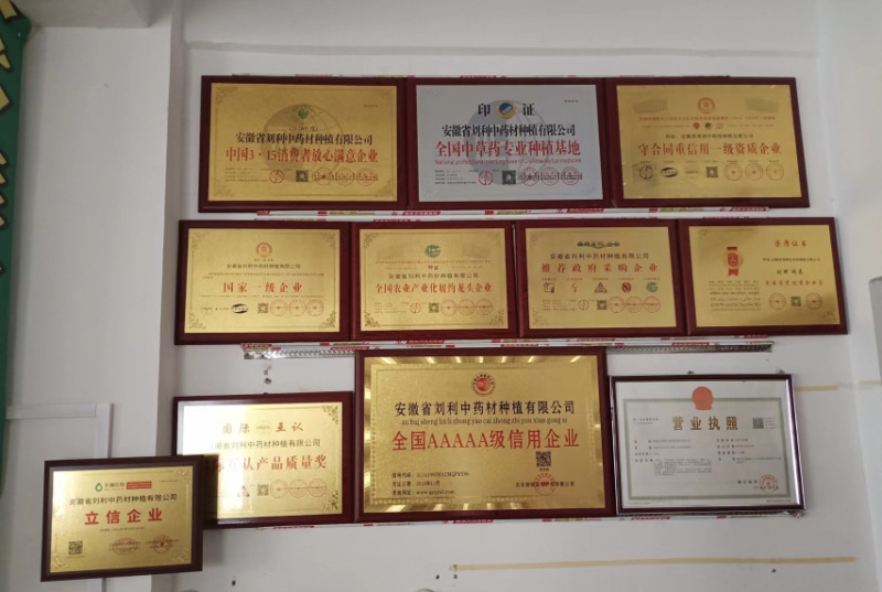 【牛商店长推荐】知母种苗包技术包回收包存活