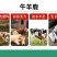 兽用钙磷十八补畜用速补猪牛羊鸭鹅用微量元素钙镁磷