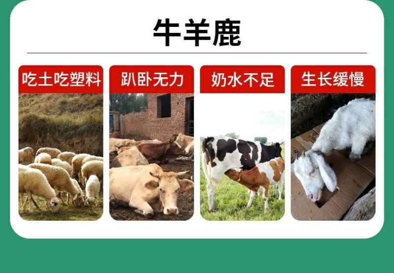 兽用钙磷十八补畜用速补猪牛羊鸭鹅用微量元素钙镁磷