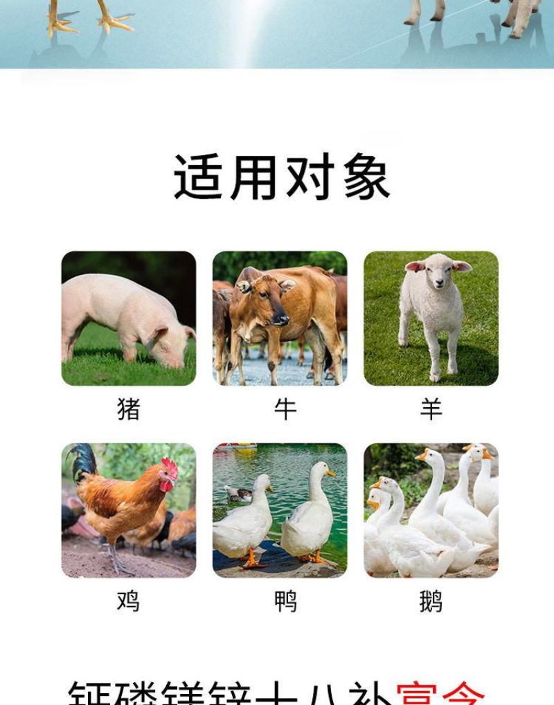 兽用钙磷十八补畜用速补猪牛羊鸭鹅用微量元素钙镁磷