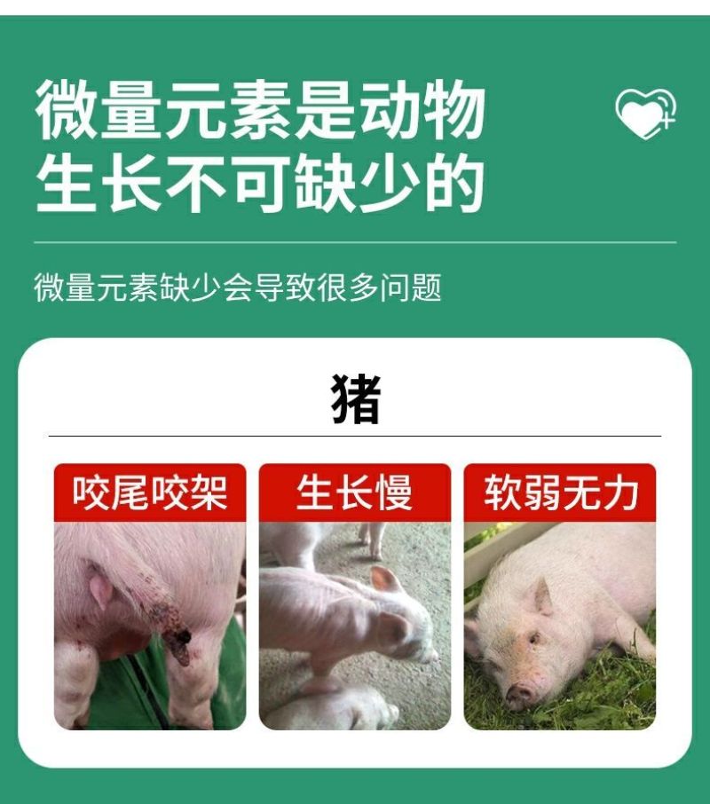 兽用钙磷十八补畜用速补猪牛羊鸭鹅用微量元素钙镁磷