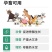 兽用钙磷十八补畜用速补猪牛羊鸭鹅用微量元素钙镁磷