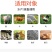 兽用强力多维禽畜鸽子猪鸡鸭电解质水产复合