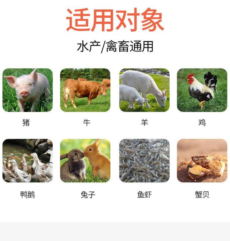 兽用强力多维禽畜鸽子猪鸡鸭电解质水产复合