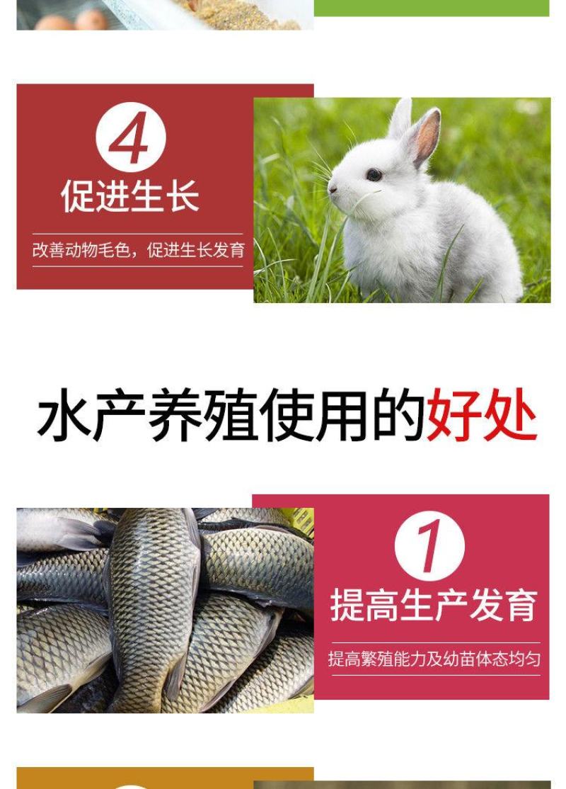 兽用强力多维禽畜鸽子猪鸡鸭电解质水产复合