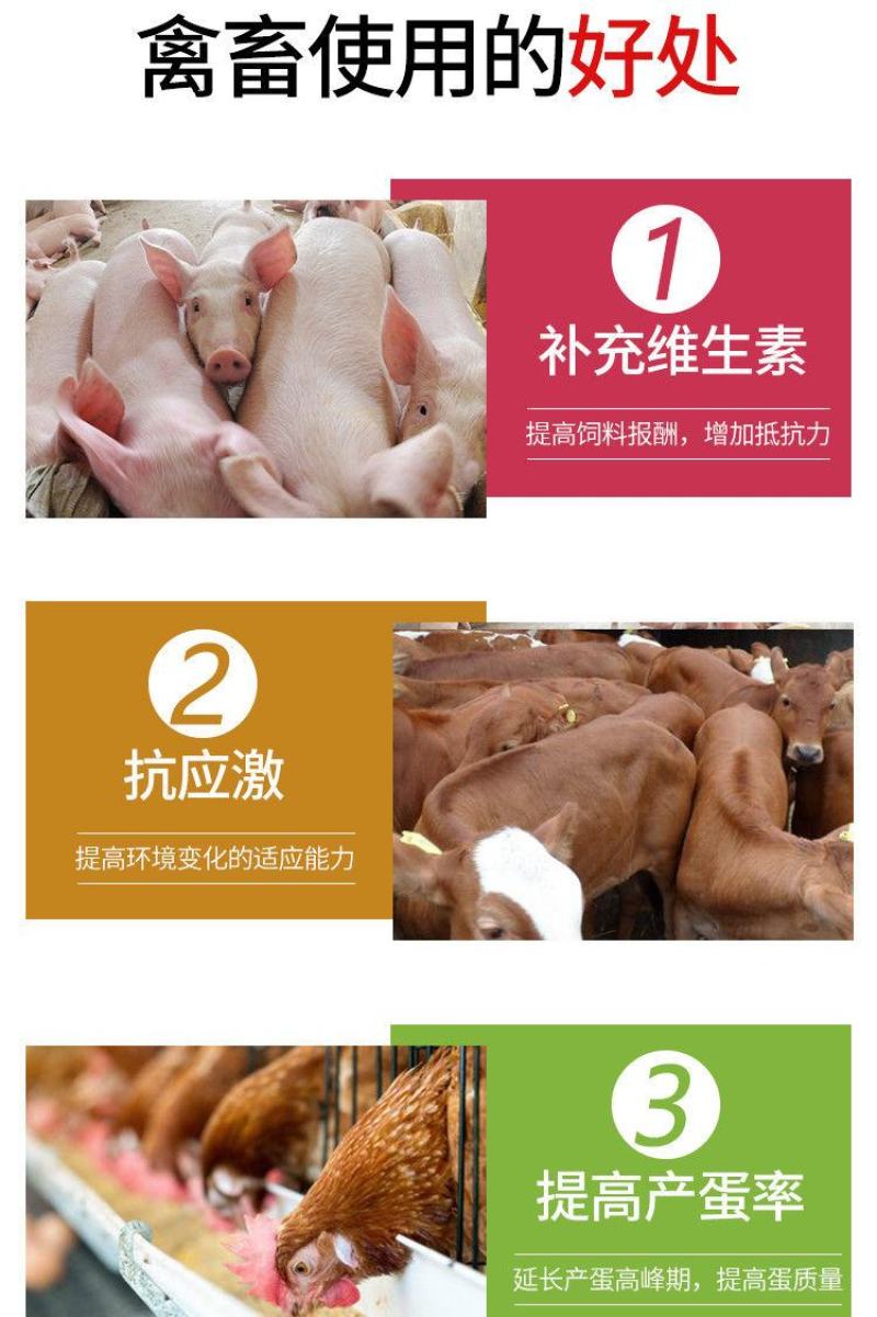 兽用强力多维禽畜鸽子猪鸡鸭电解质水产复合
