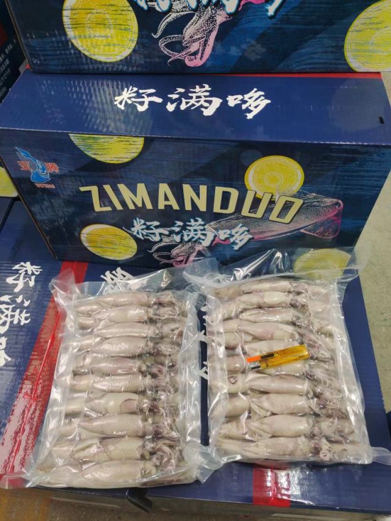 籽乌笔管鱼海兔