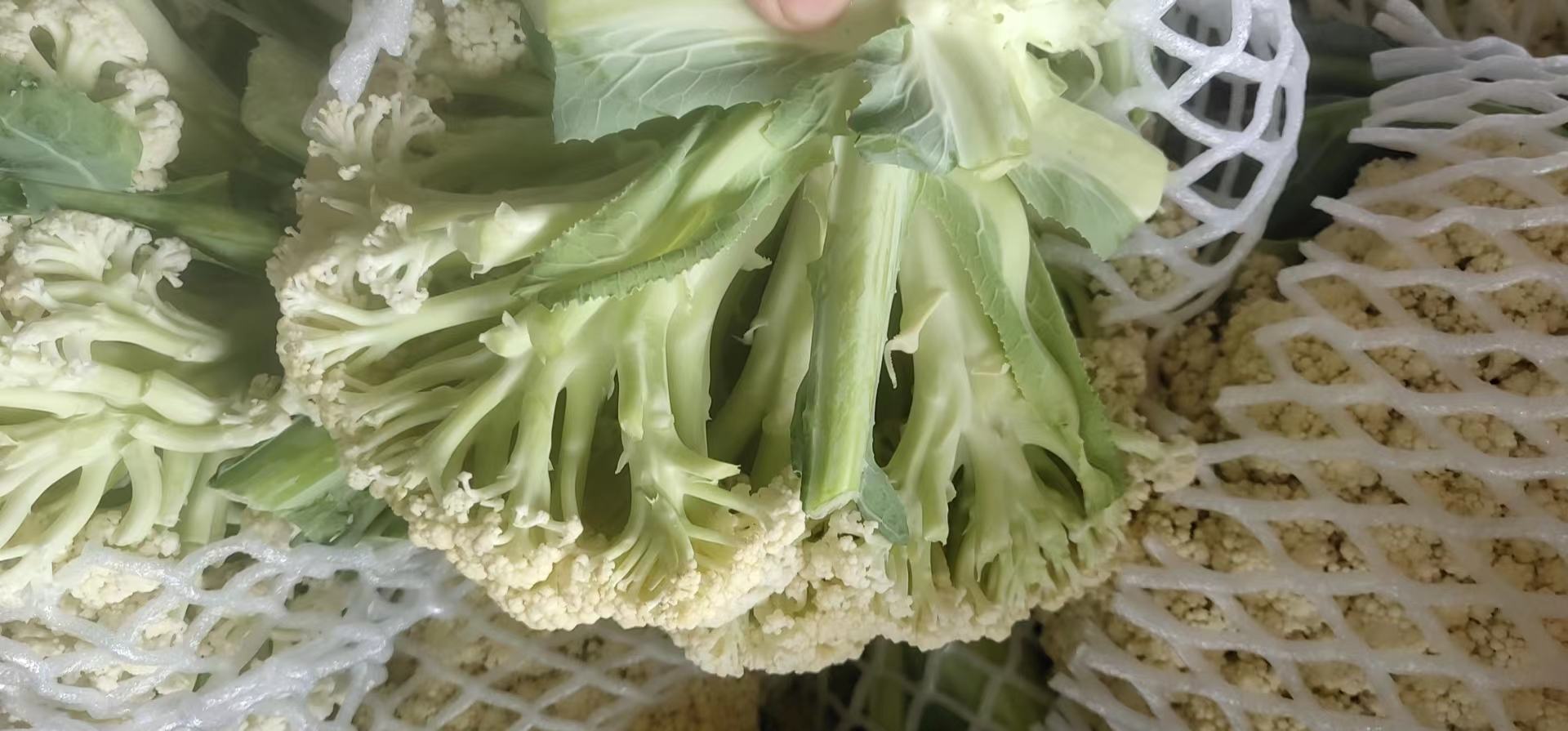 松花菜与柳叶菜拼盘
