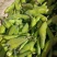 大理，豌豆，蚕豆大量上市