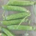 大理，豌豆，蚕豆大量上市