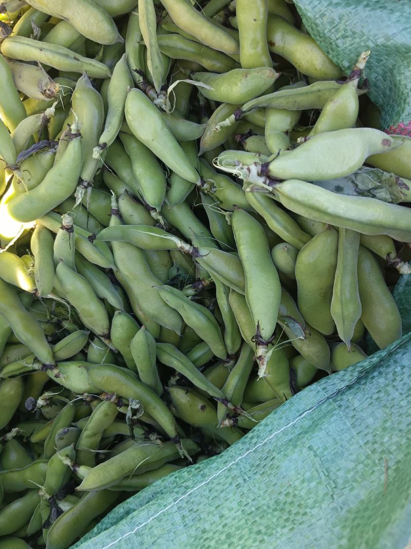 大理，豌豆，蚕豆大量上市