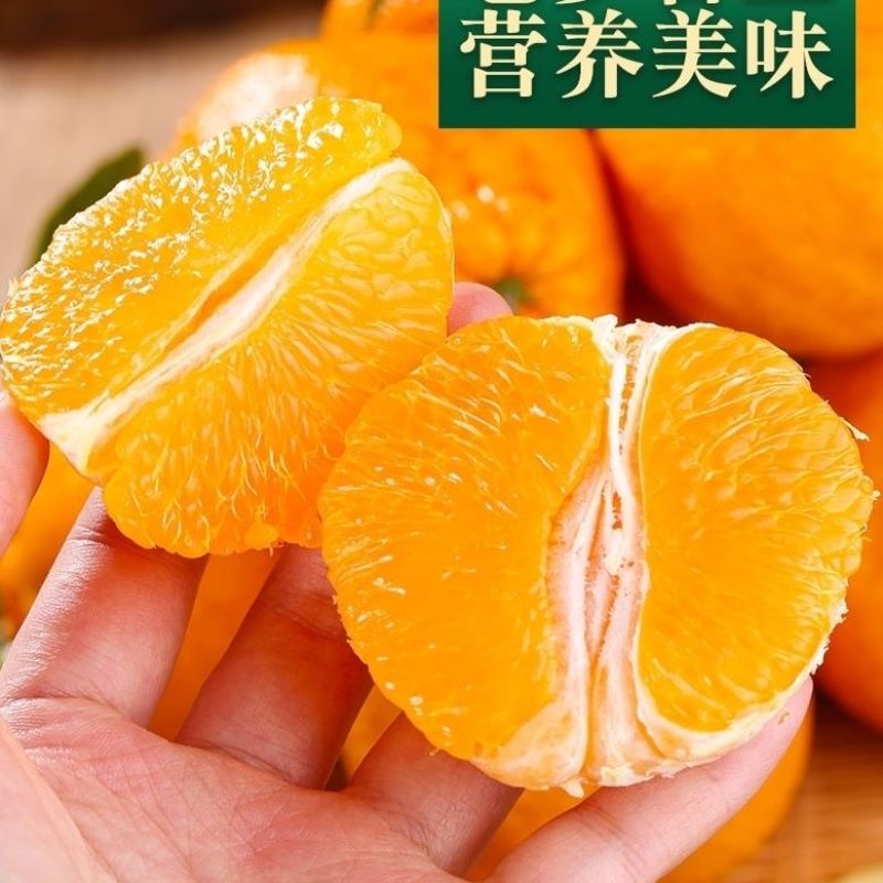 广西南宁武鸣沃柑大量上市对接落地配商超美团多多各大平台