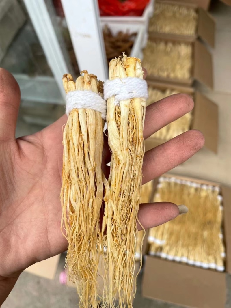 白参精片白参须无硫无熏蒸正宗长白山白参须