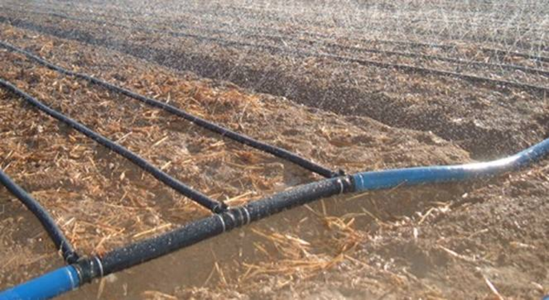 微喷带，喷灌水带，一手货源，厂家直发，水肥一体化灌溉