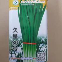久星30号特抗寒韭菜籽新品种，生长速度快，颜色深绿茎杆粗