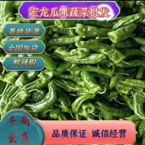 东台精品辣椒大量供应，需要的联系，长期合作共赢