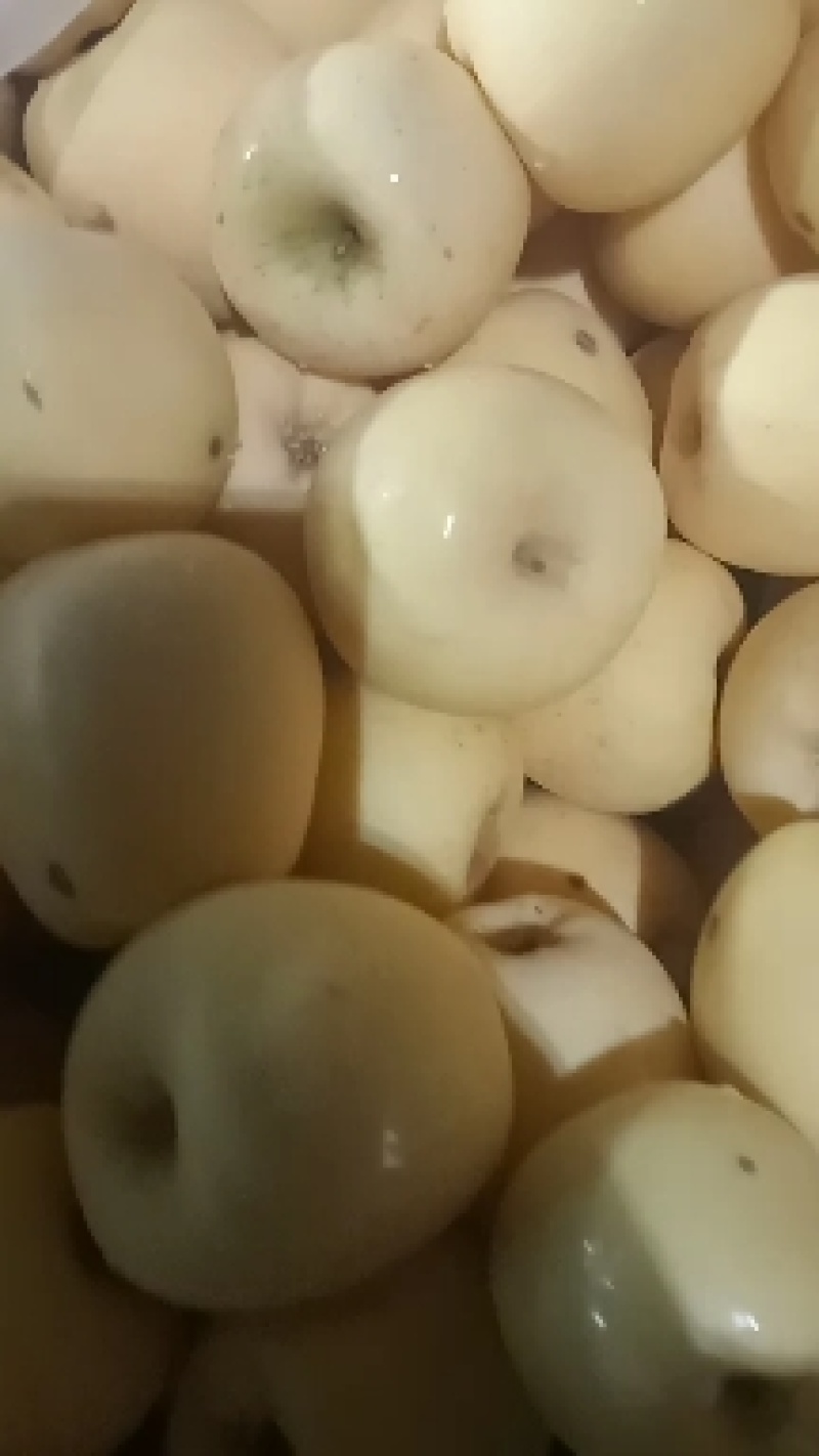 维纳斯二级果次果大量有货！