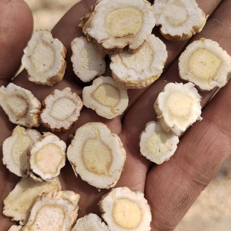 商洛地产高含量桔梗片，去皮桔梗片过4号筛