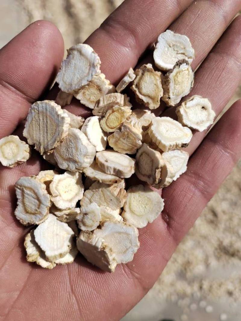 商洛地产高含量桔梗片，去皮桔梗片过4号筛